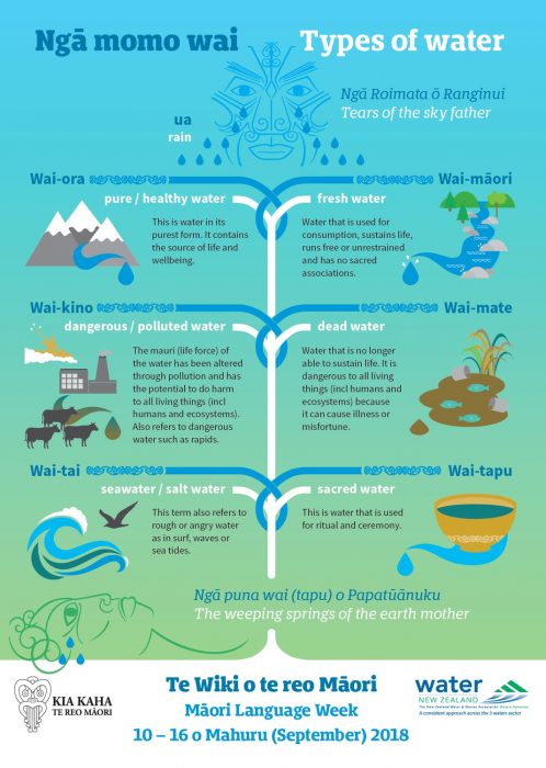 Ngā momo wai - Types of Water in Maori