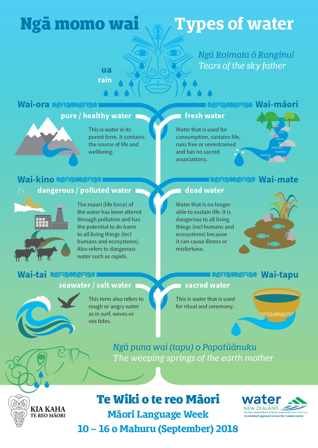 Ngā momo wai - Types of Water in Maori